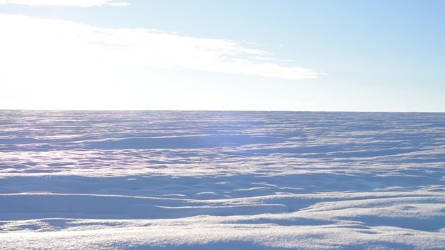 Snow panorama in the winter