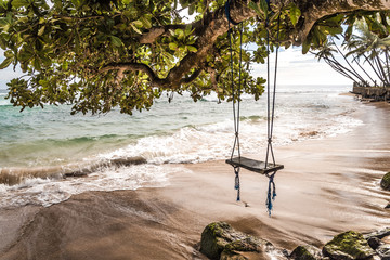 wooden swing board by the beach