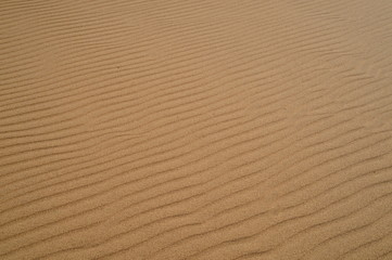 Sahara desert in Morocco