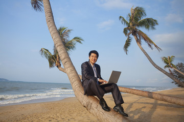 Businessman working at the beach