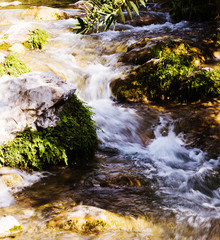 Fototapeta na wymiar water spring in forest