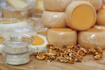 Cheese and walnut on wooden tale closeup