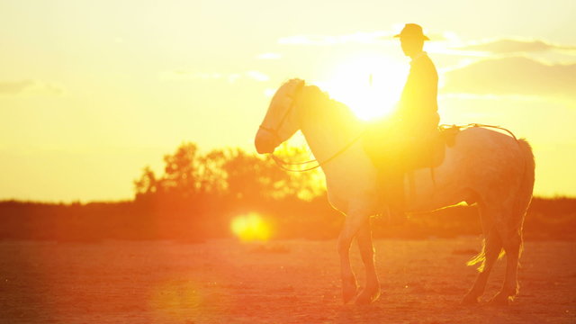 Cowboy France Camargue sunrise animal horses wild livestock
