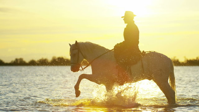 Cowboy Camargue rider animal horse sunset galloping sea 