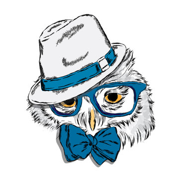 Owl wearing a hat and sunglasses . Owl - hipster . Fashion & Style. Print . Hipster. Bird vector . Painted owl . Cute owl . 
