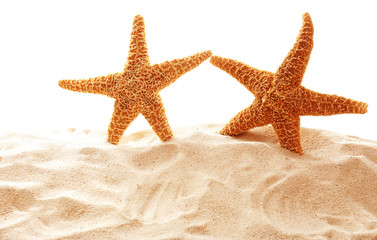 Fototapeta na wymiar Big beautiful starfishes on sand against white background