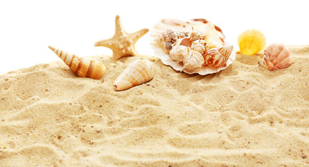 Fototapeta na wymiar Beautiful shells on sand against white background