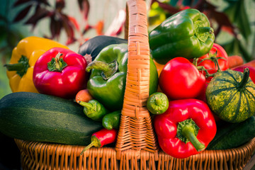 Colorful vegetables basket wooden table