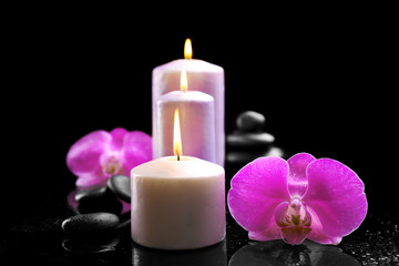 Composition of orchid, pebbles and candles in a row on dark background