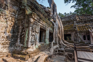 Naklejka premium Ta Prohm temple in Siem reap , Cambodia