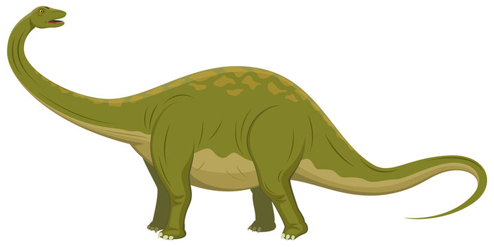 Vector illustration of a brontosaurus dinosaur.