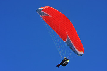 Paraglider