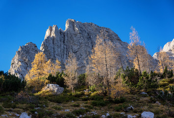 Rocks on a blue sky with orange trees