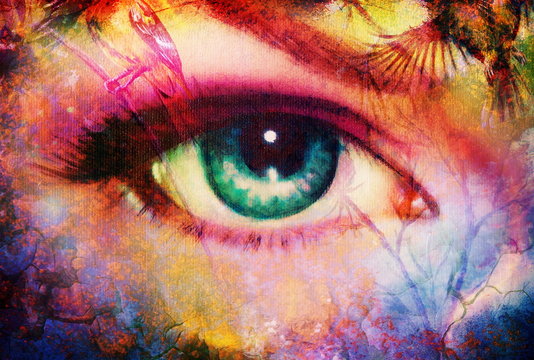 beautiful illustration women eye , with birds on multicolor background eye contact