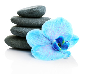 Beautiful blue orchid with pile of pebbles isolated on white background