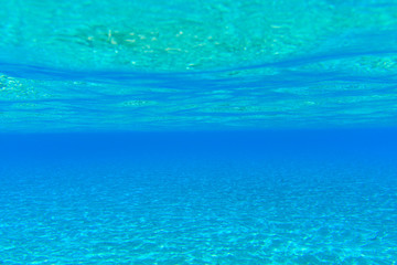 Tranquil underwater scene with copy space