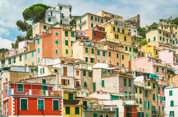 Fototapeta na wymiar Colorful houses in Riomaggiore, Cinque terre Italy.