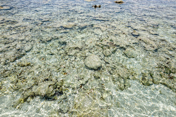 Shore coral reefs for snorkeling and admire the beauty of the sea at Similan Islands during the summer in Mu Ko Similan National Park, Phang Nga province, Thailand