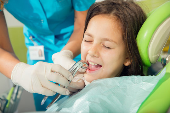 The dentist treats teeth patient, extracted tooth