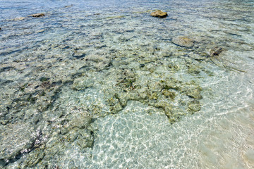 Shore coral reefs for snorkeling and admire the beauty of the sea at Similan Islands during the summer in Mu Ko Similan National Park, Phang Nga province, Thailand