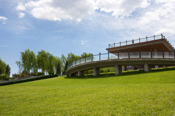 Charming scenery in a park