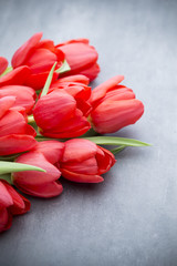 Red tulips on a wooden background.