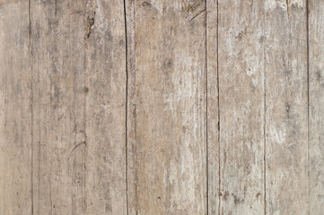 Rustic wood natural background. Plank wood.