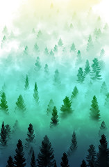 misty forest landscape