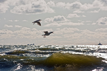 Storm on the Baltic sea