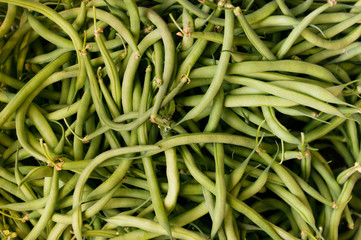 Pile of just harvested green beans