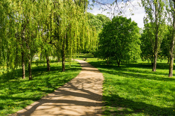 Fototapeta premium Park im Frühling