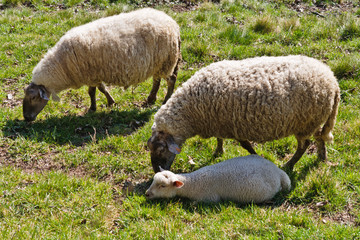 Aubazine (Corrèze)