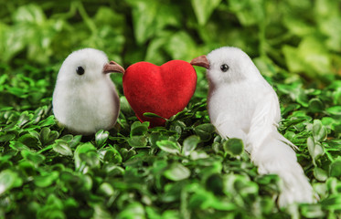 The concept of Valentine's Day two little white bird the lovers, heart on the background of nature.