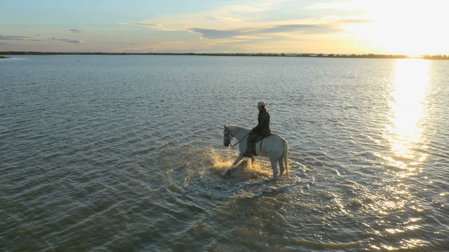 Aerial cowboy sunset Camargue horseman animal grey horse 