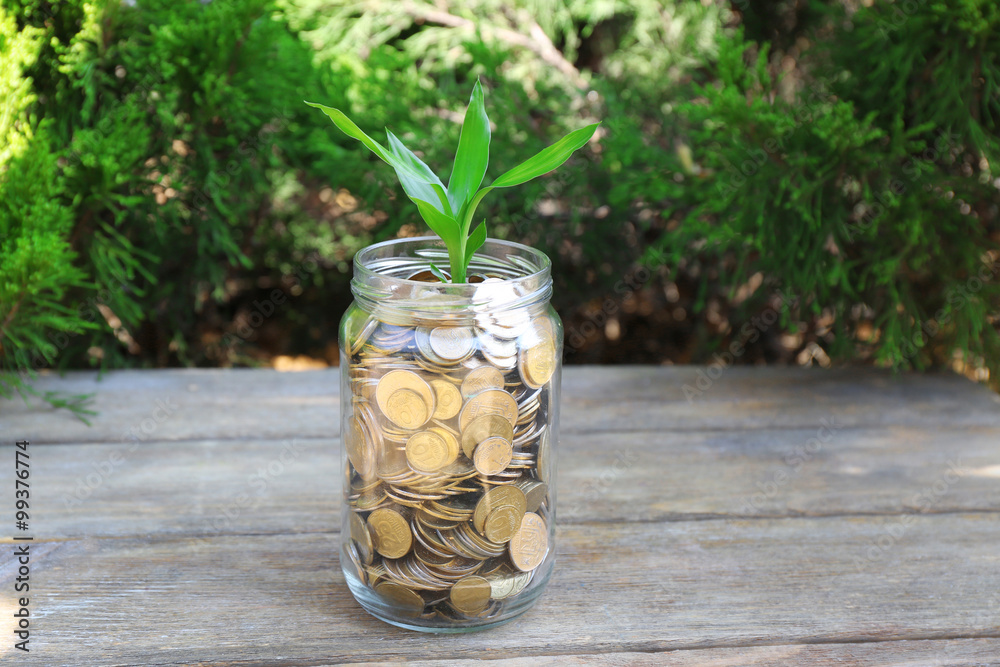 Sticker Plant growing in coins outside