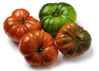 토마토 Pomodoro costoluto Լոլիկ トマト  Solanum lycopersicum گوجه فرنگی  টমেটো Τομάτα टमाटर Томат طماطم 番茄 עגבנייה Domates มะเขือเทศ Tomate Tomato Pomidor zwyczajny 