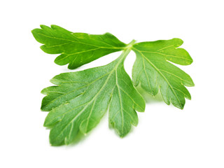 Obraz premium Fresh parsley isolated on white