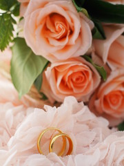 rose romantic flower