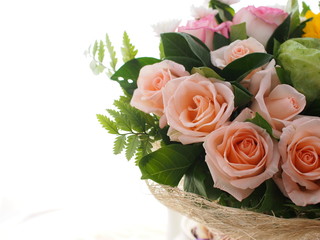 rose romantic flower