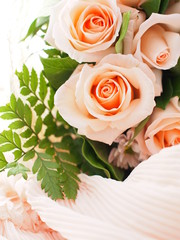 Obraz na płótnie Canvas rose romantic flower