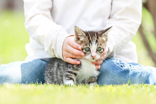 子猫と子供