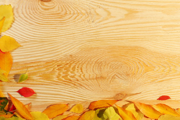 Autumn leaves on light wooden background
