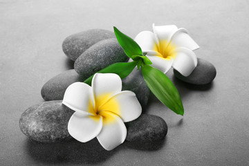 Hot spa stones with flowers and bamboo on grey background, close-up