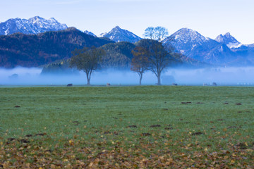 バイエルン地方の霧の朝
