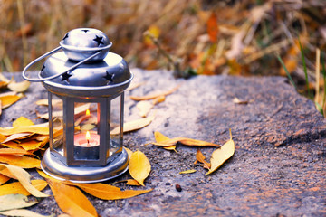 Decorative lamp on rock in the forest, close up