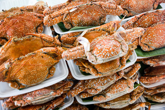 Big crabs arranged on styrofoam dishes, waiting to be cooked on a Bangkok market