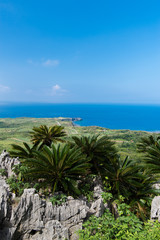 沖縄県　大石林山から見る辺戸岬
