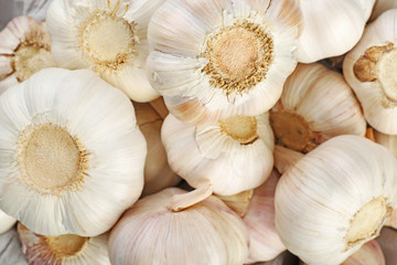 Garlic background