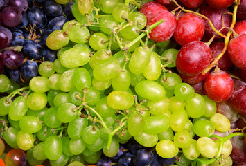 Grape background
