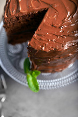 Chocolate pie with mint on grey background